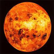 Ervaringen van bezoekers met waarzegger Venus